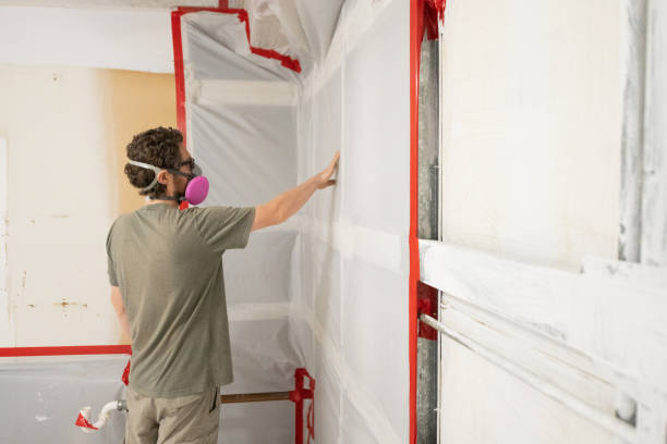 Best Airborne Mold Testing  in Elkader, IA