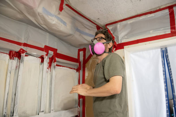 Best Mold Odor Removal Services  in Elkader, IA