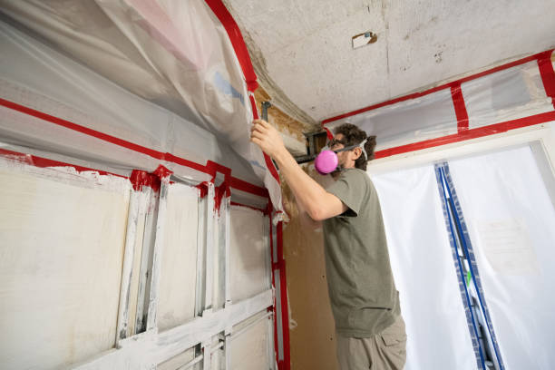 Best Environmental Consulting for Mold Prevention  in Elkader, IA