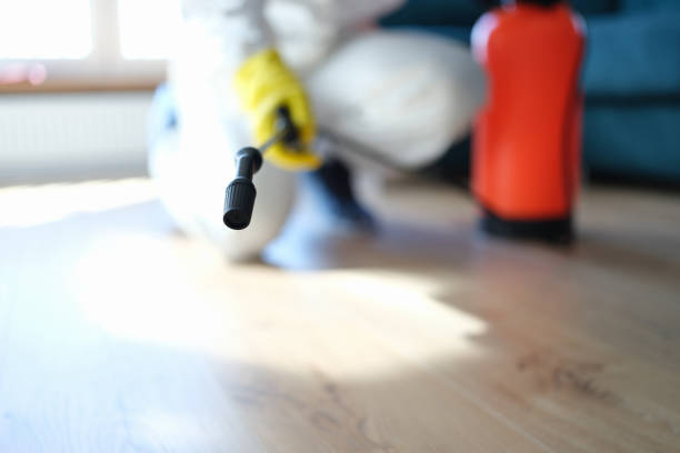 Environmental Consulting for Mold Prevention in Elkader, IA