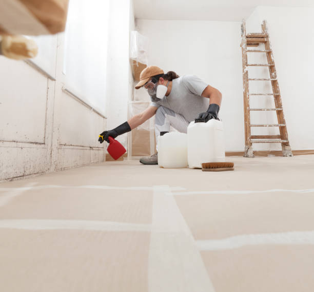 Mold Removal for HVAC Installations in Elkader, IA